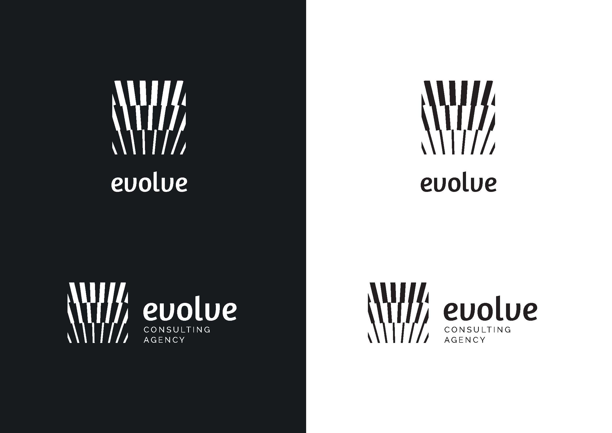 Evolve-BrandingIdentity_Page_05